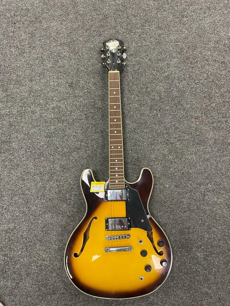 J&D Hollow Body Electric Guitar - Image 1