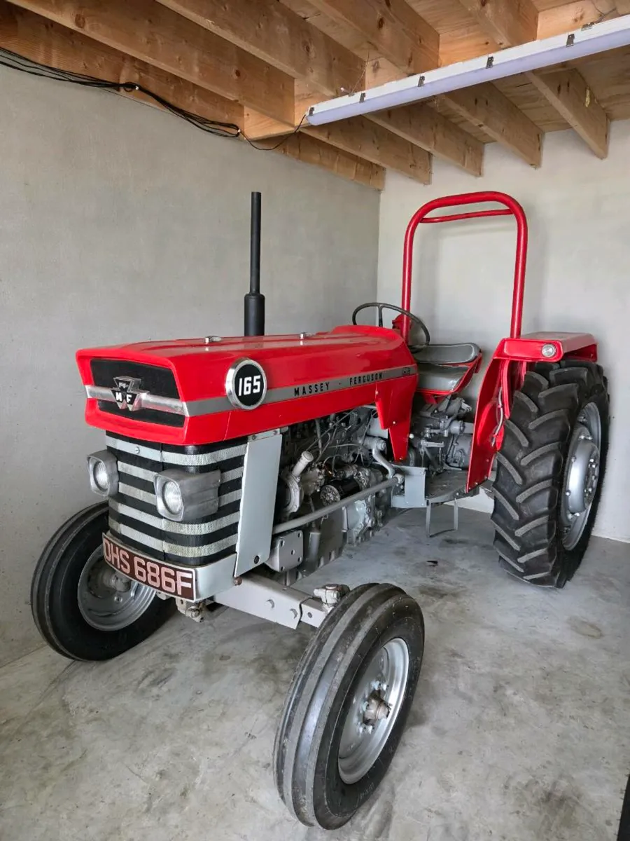 Massey ferguson 165