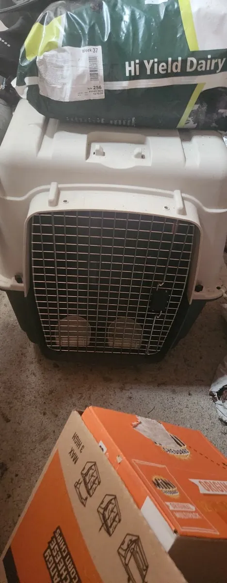 Dog boxes - Image 1