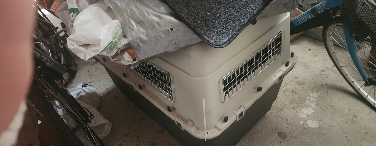 Dog boxes - Image 2