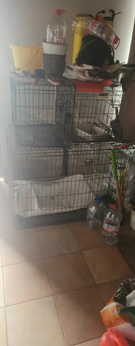 Dog boxes - Image 3
