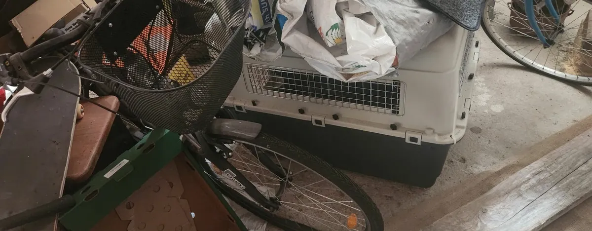 Dog boxes - Image 4