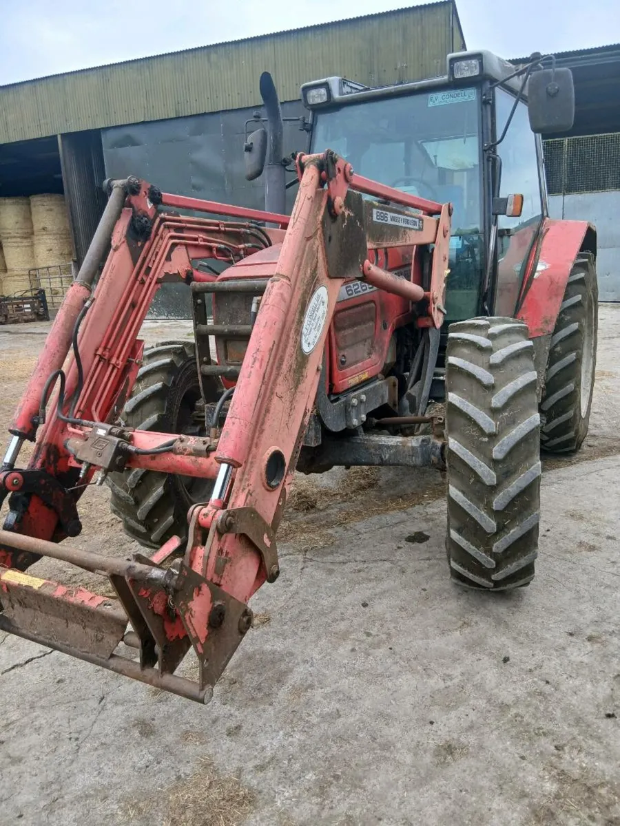Massey Ferguson - Image 2