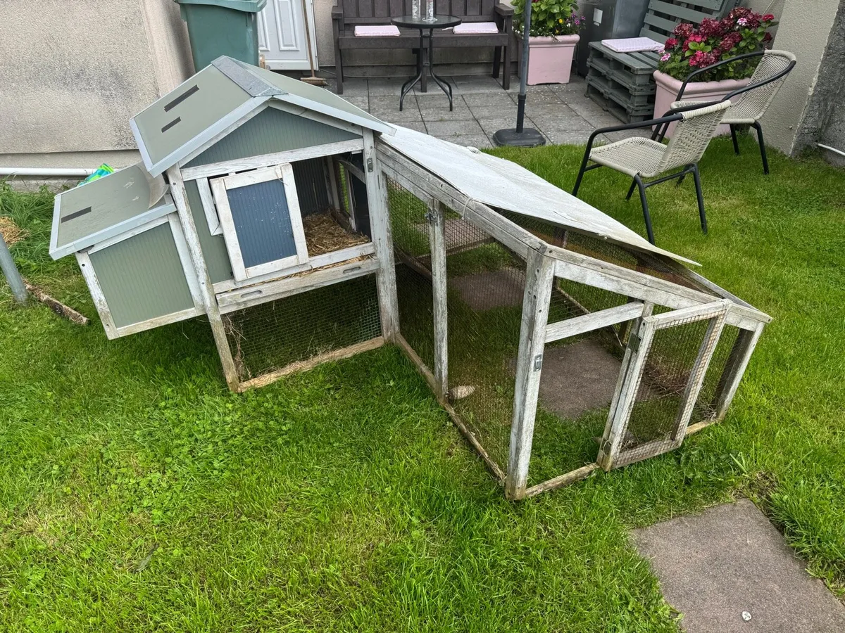 Rabbit / Guinea Pig Outdoor Hutch (Free) - Image 1