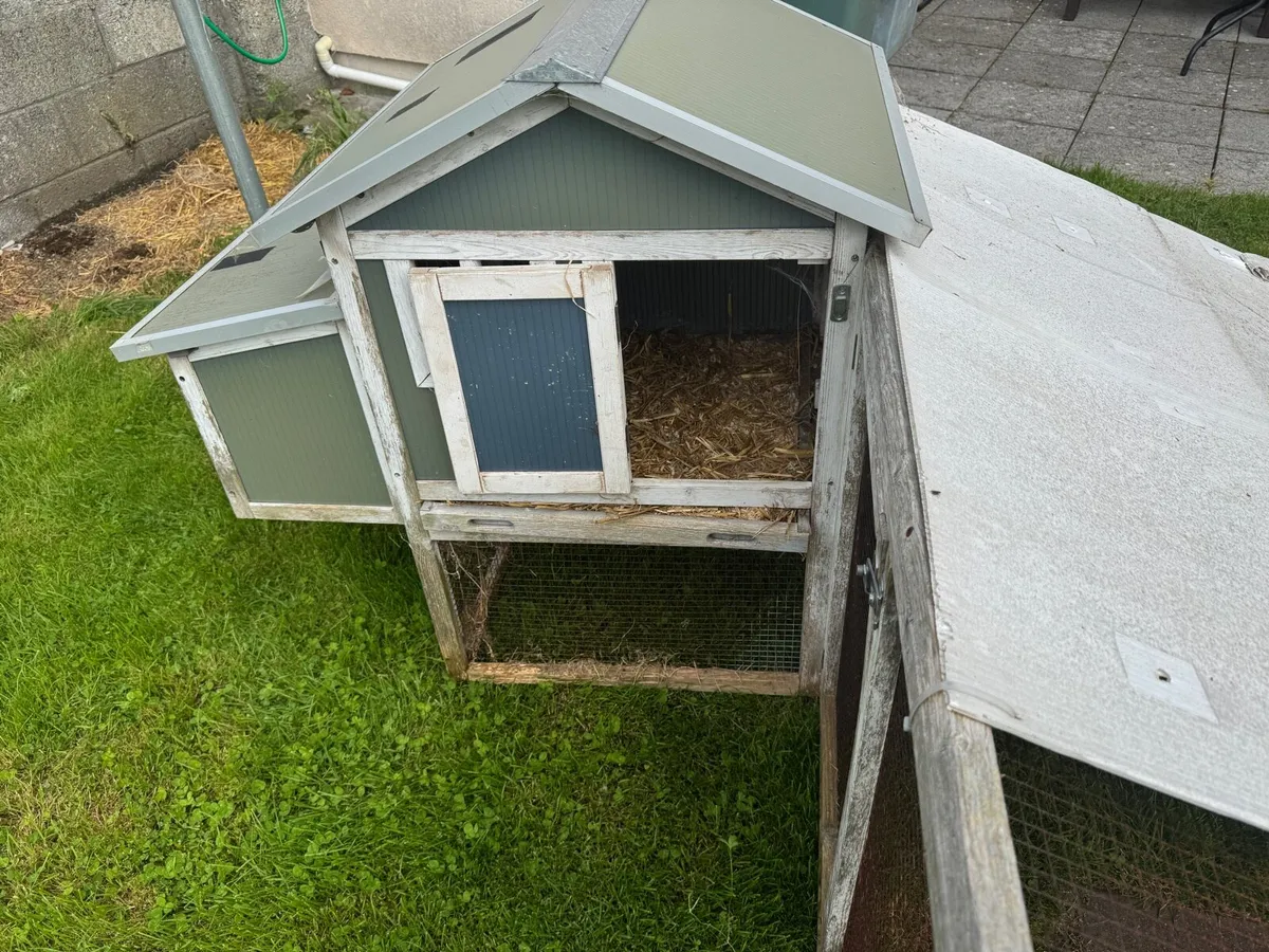 Rabbit / Guinea Pig Outdoor Hutch (Free) - Image 2