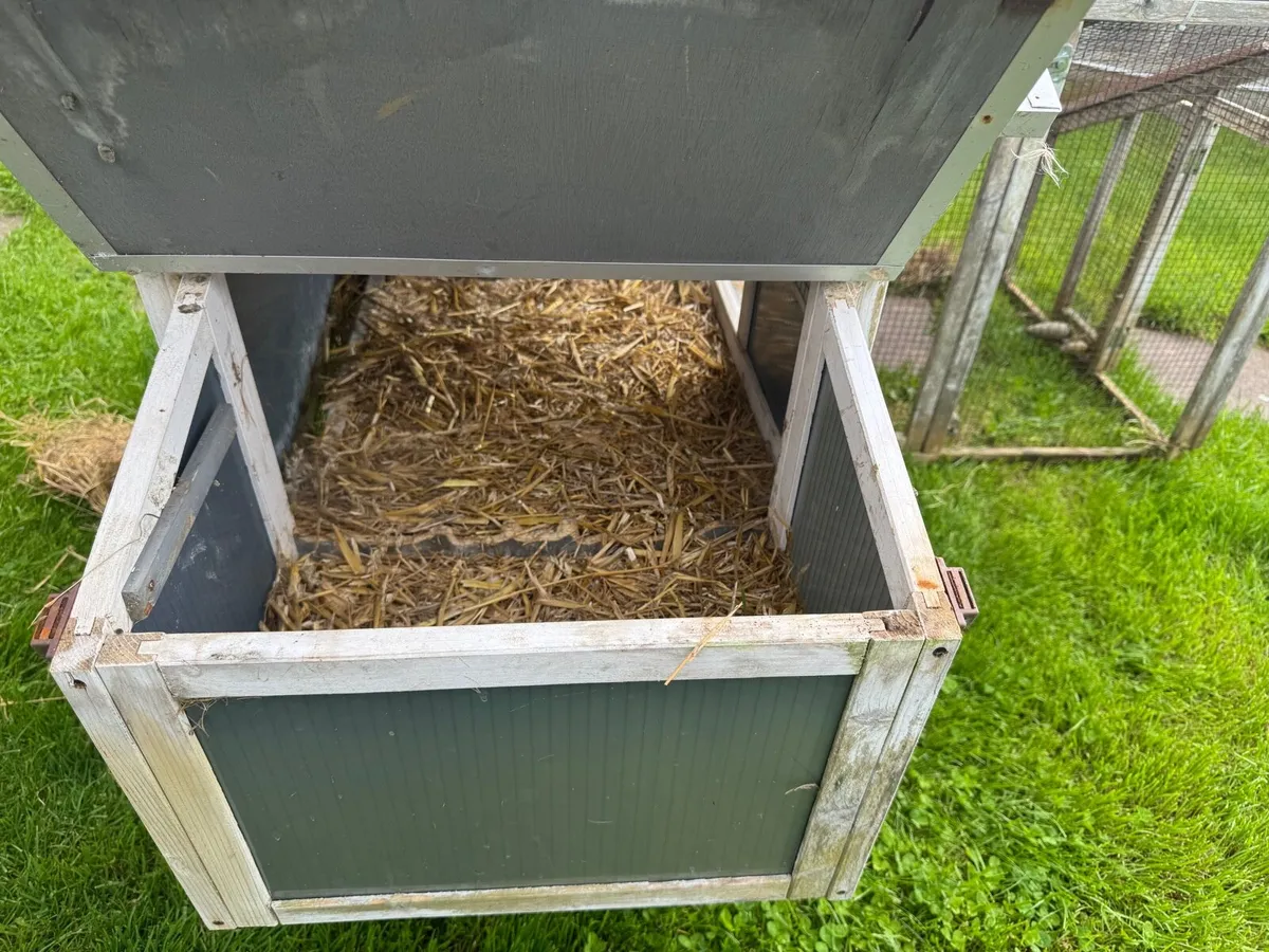 Rabbit / Guinea Pig Outdoor Hutch (Free) - Image 3