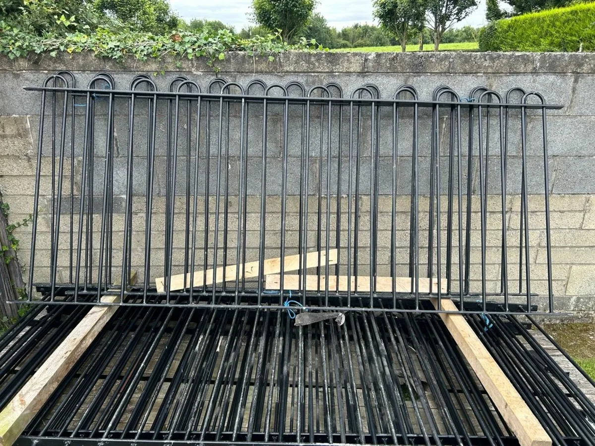 Fencing - Image 1