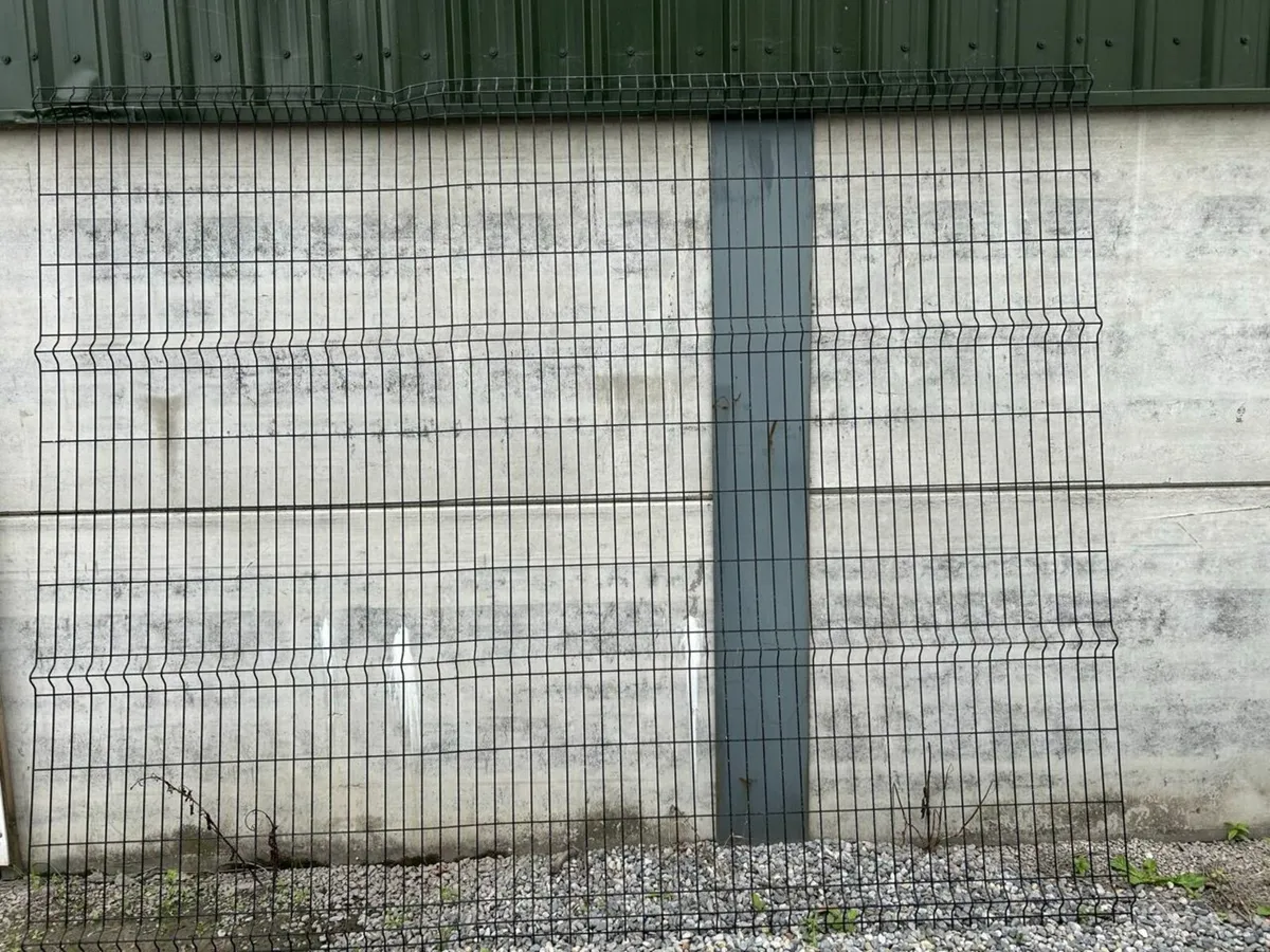 Fencing - Image 2