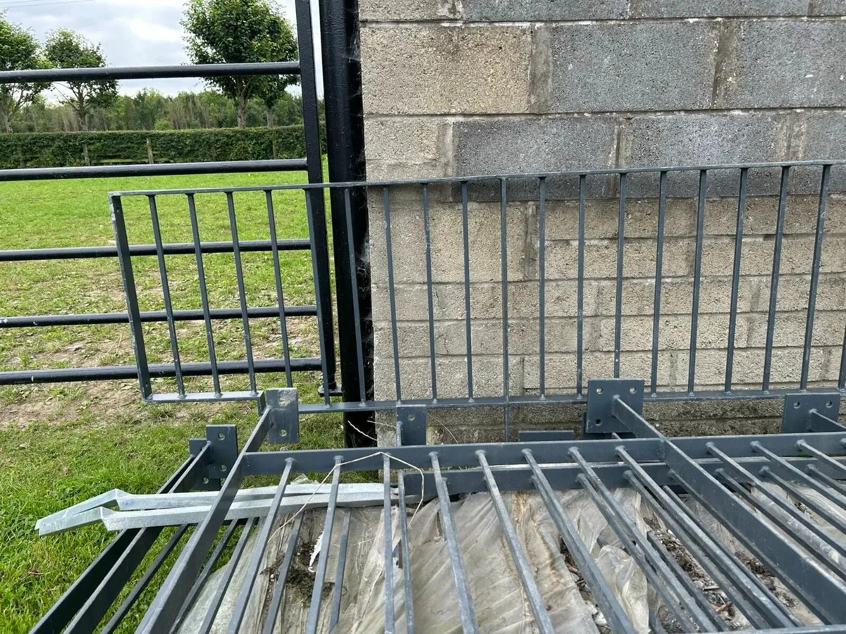 Fencing - Image 4