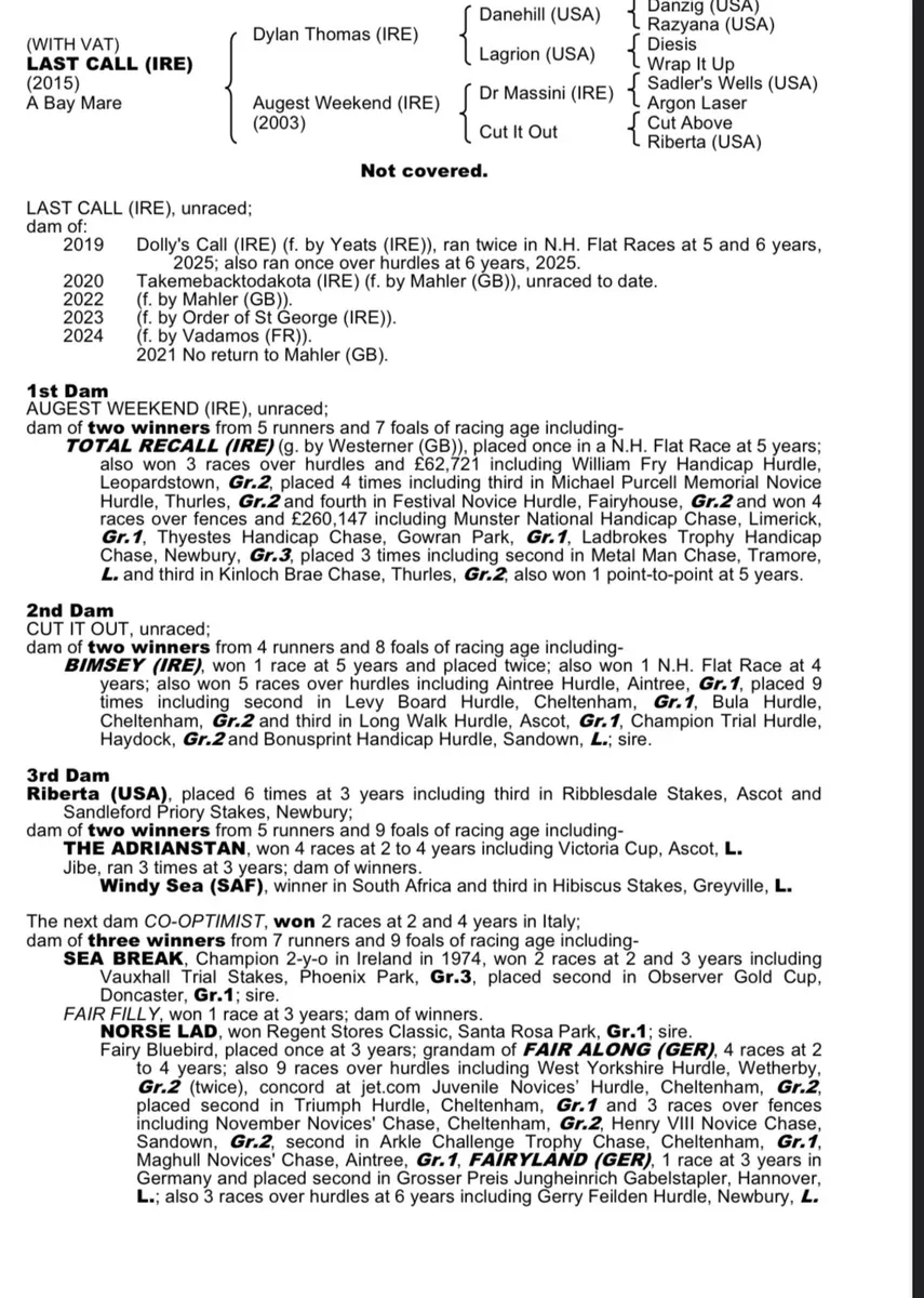 1/2 Sister to Grade 1 Chaser - Image 2