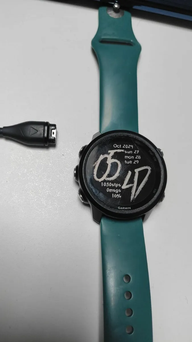 Garmin Forefunner 245 - Image 2