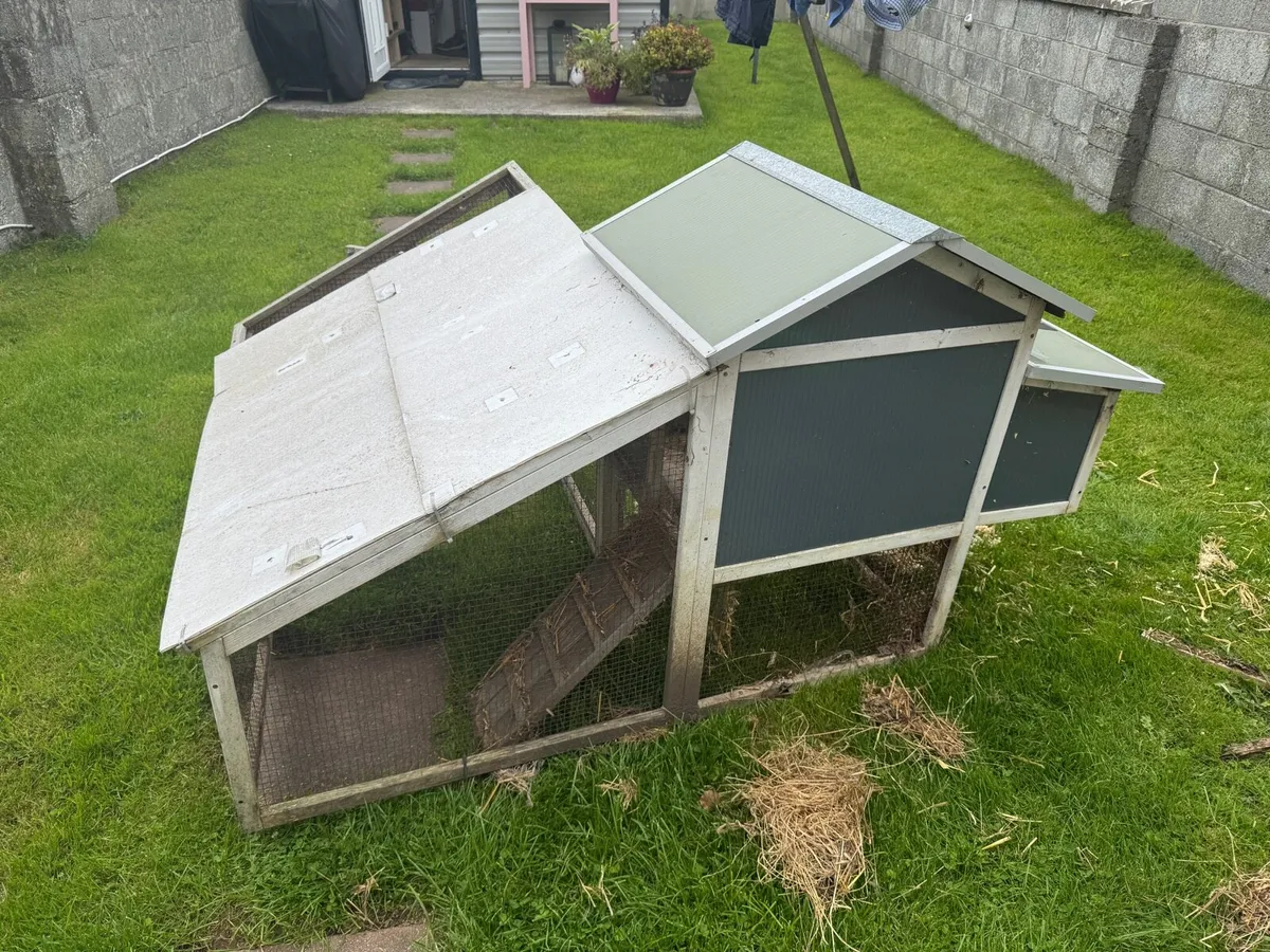 Rabbit / Guinea Pig Outdoor Hutch (Free) - Image 4