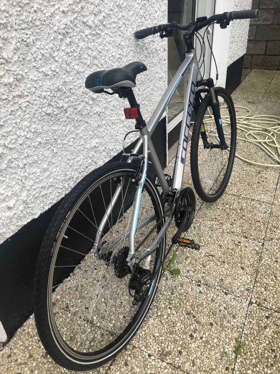 Bicycle Adult - Image 4