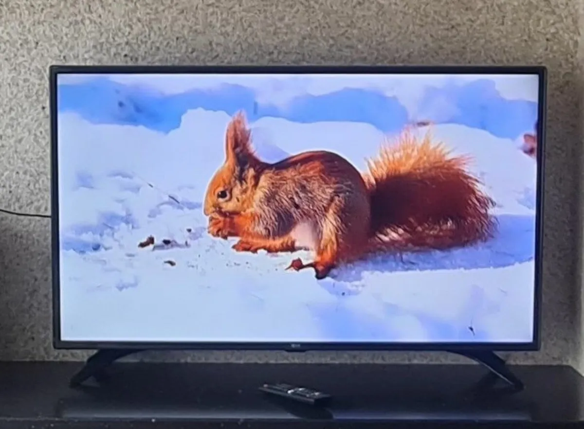 LG 43LH604V 43" Full HD Smart LED TV - Image 1