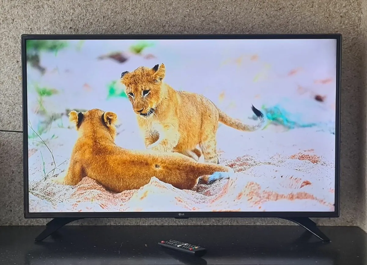 LG 43LH604V 43" Full HD Smart LED TV - Image 4