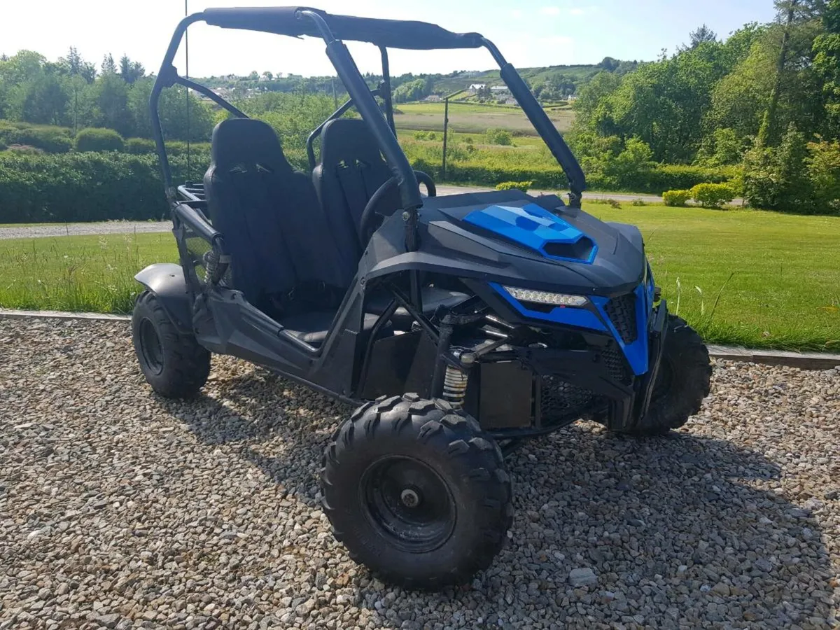 Quadzilla Stingray 210 buggy - Image 1