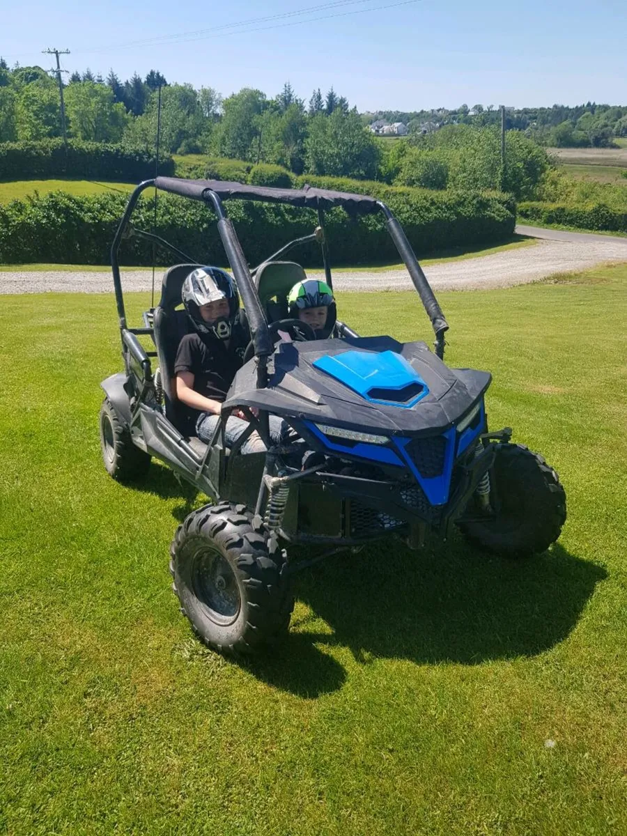 Quadzilla Stingray 210 buggy - Image 2