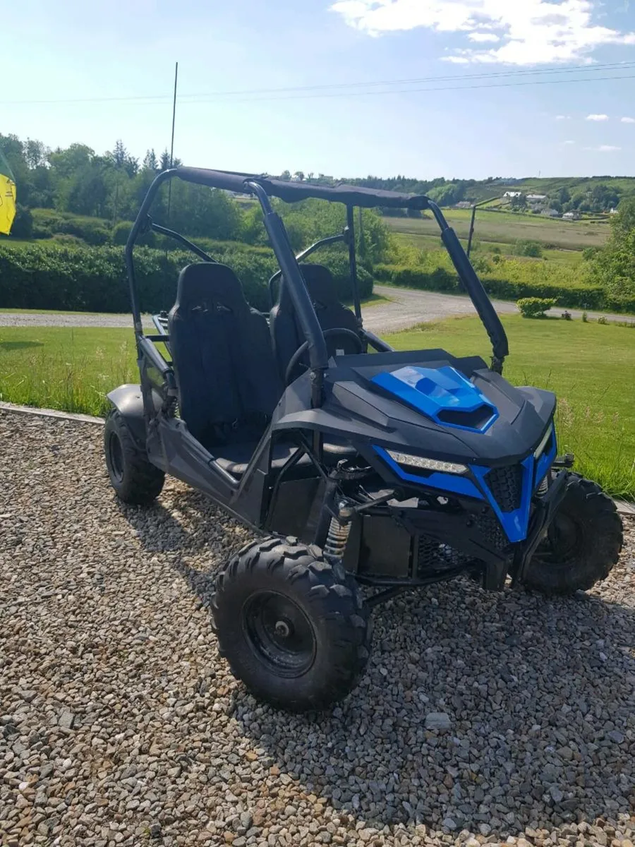 Quadzilla Stingray 210 buggy - Image 3