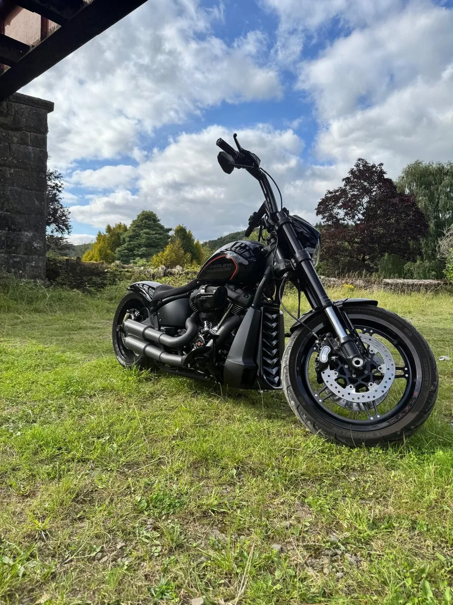 Harley Davidson FXDRS 114 Softail 2019 - Image 3