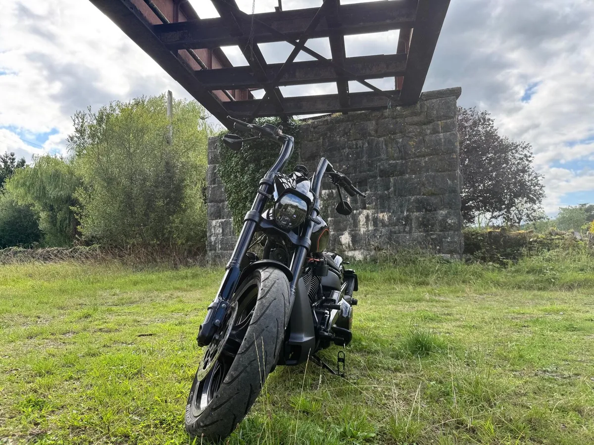 Harley Davidson FXDRS 114 Softail 2019 - Image 4