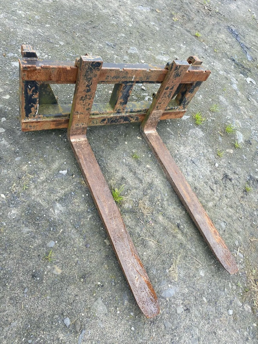 Forks - Image 3