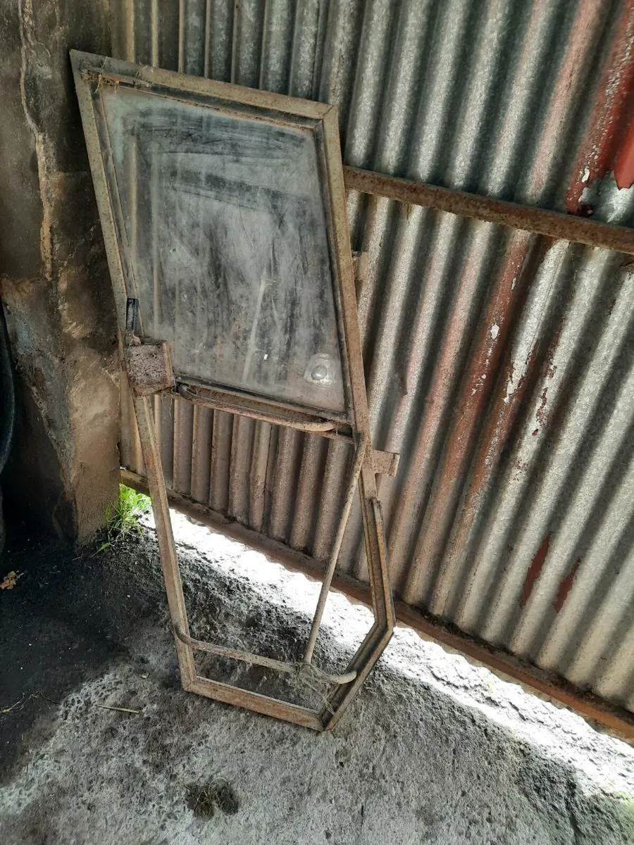 Shed clean out - Image 1