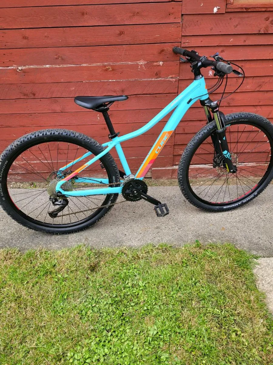 Mountain bike - Image 1