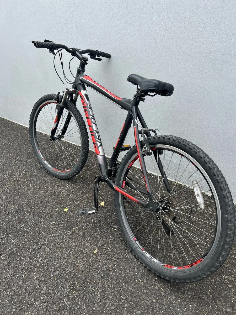 27.5inch veloce mountain bike - Image 2