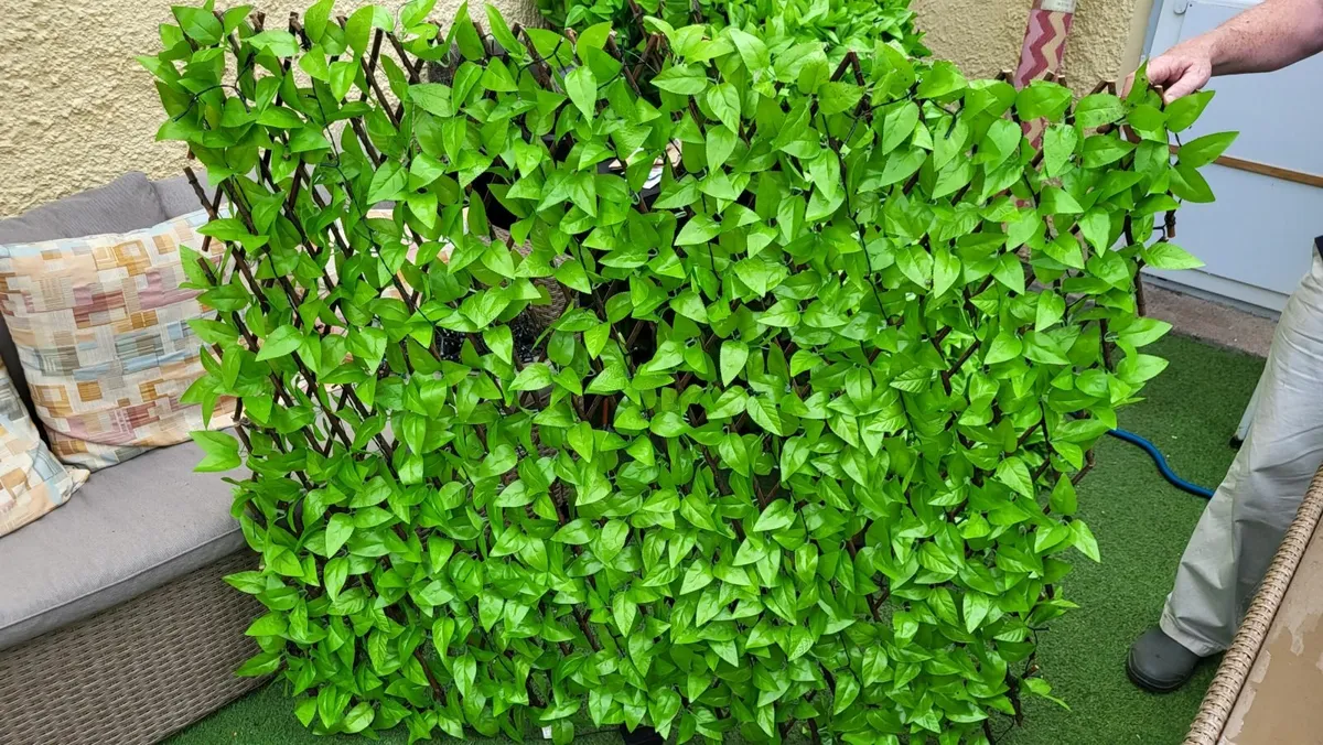 Garden trellis with solar lights - Image 2