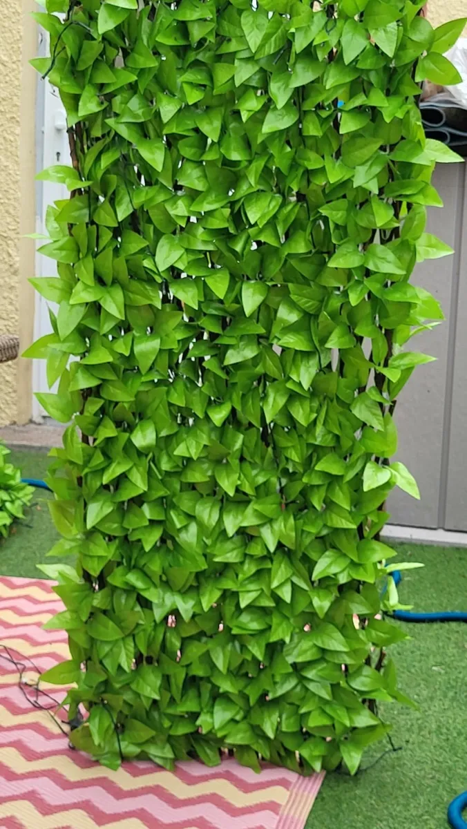 Garden trellis with solar lights - Image 3