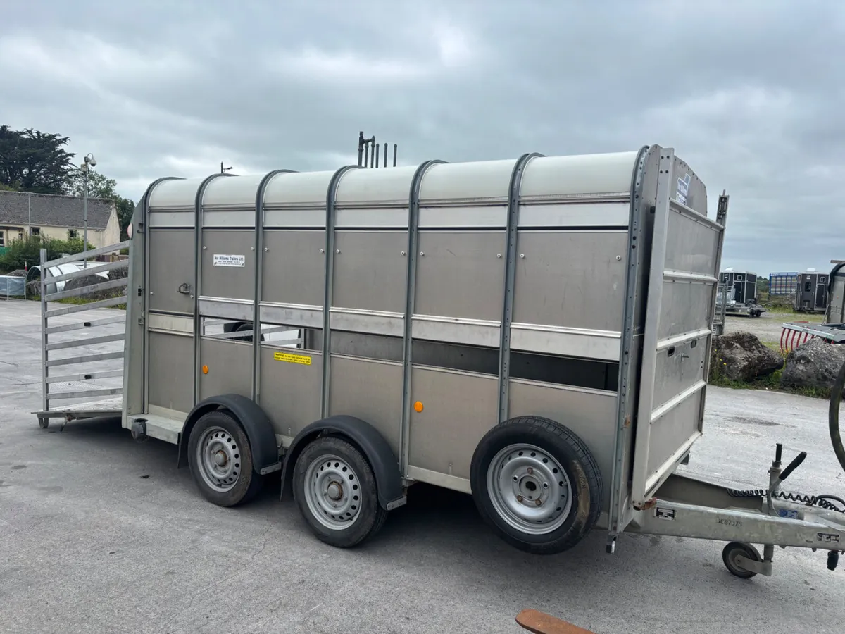 ifor williams ta510 12ft - Image 2