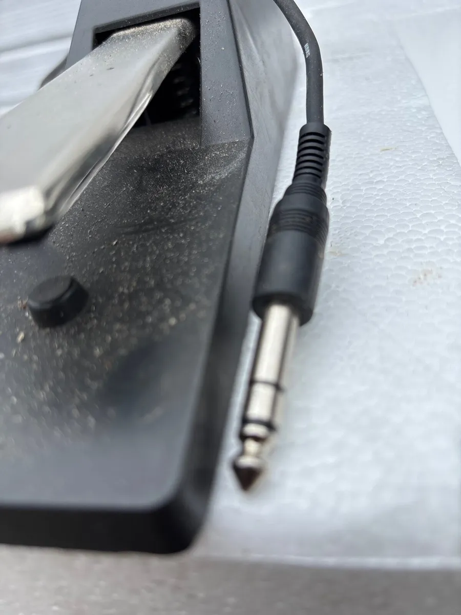 Sustain Pedal - Image 2