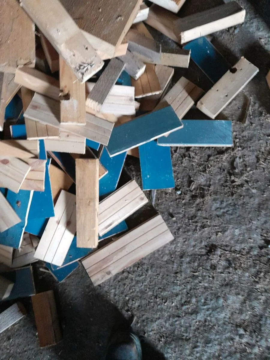 Cut timber - Image 2