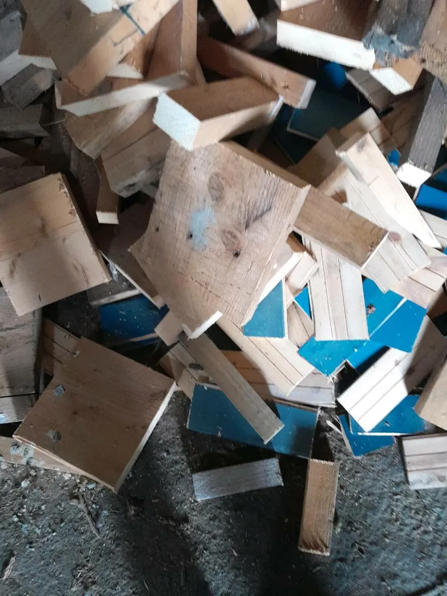 Cut timber - Image 3