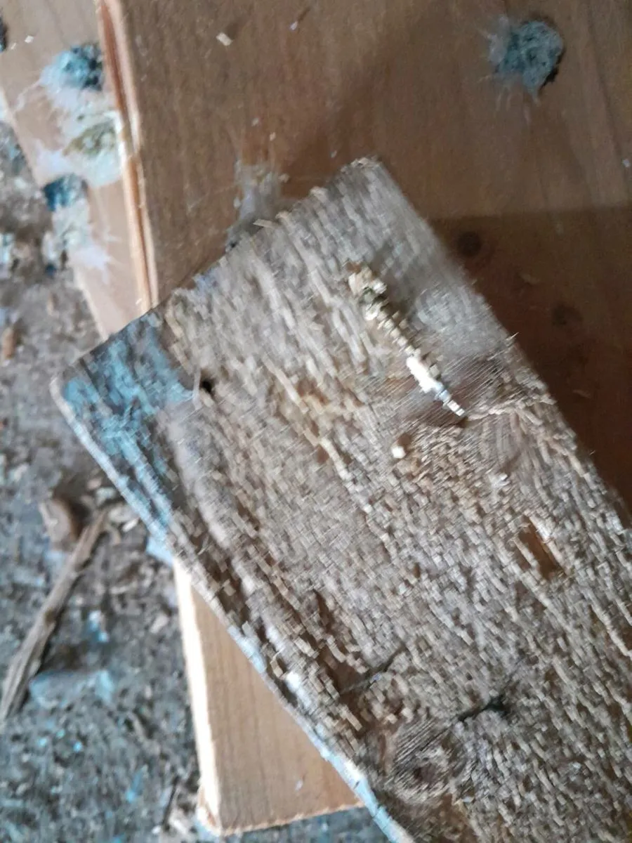 Cut timber - Image 4