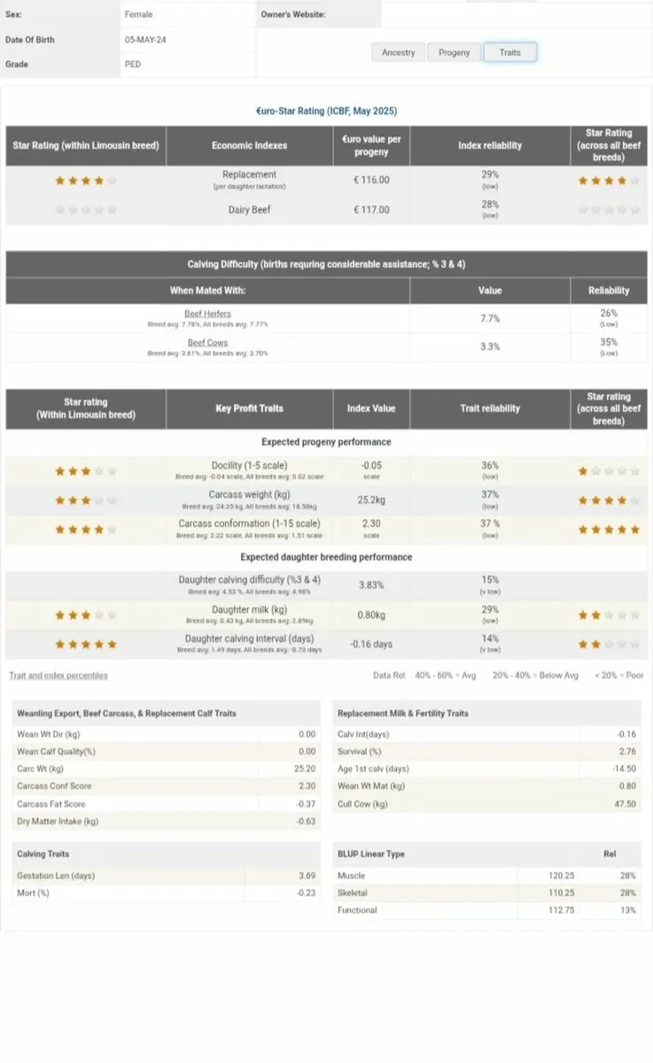 Pbr Limousin Heifer for sale - Image 2
