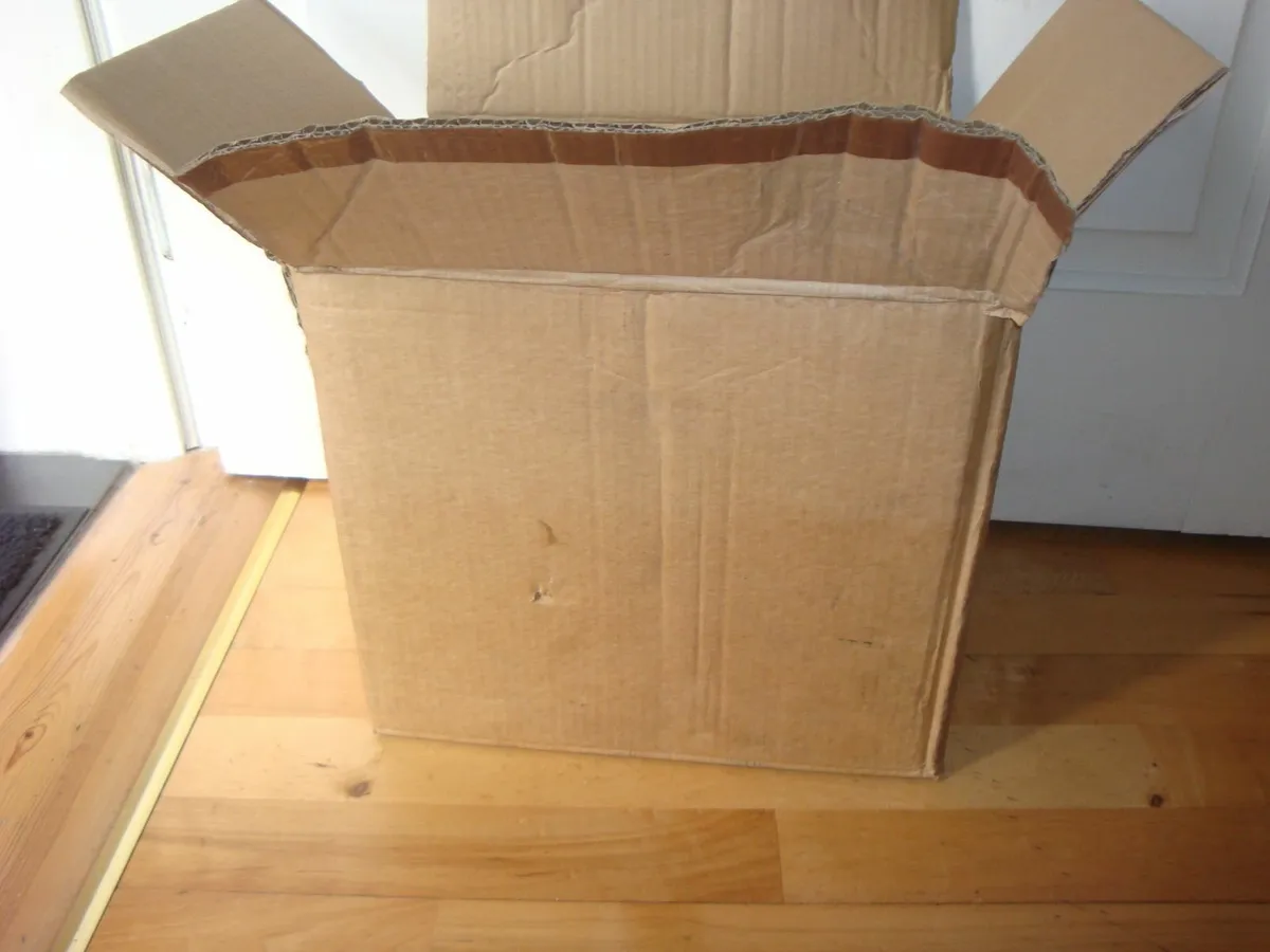 Box of real pinecones - Image 2