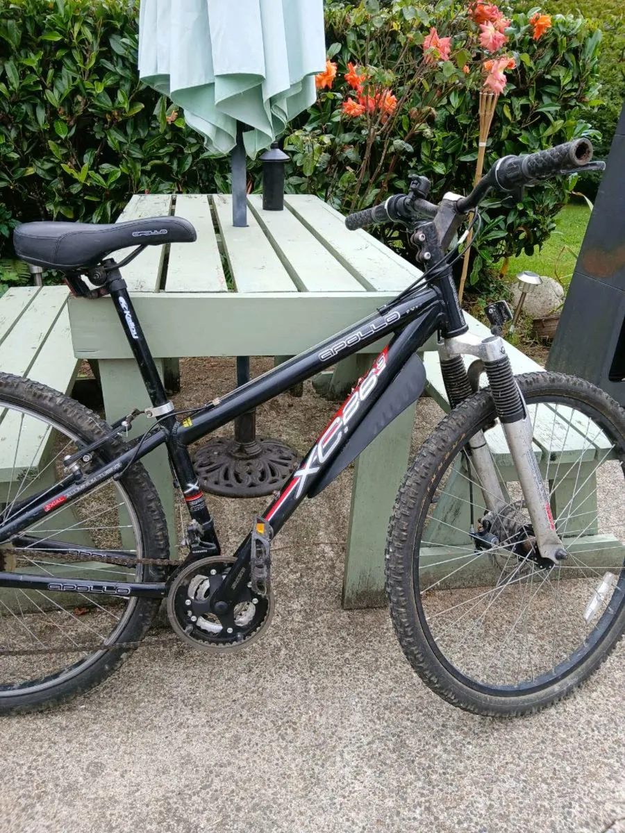 BICYCLE - Image 2