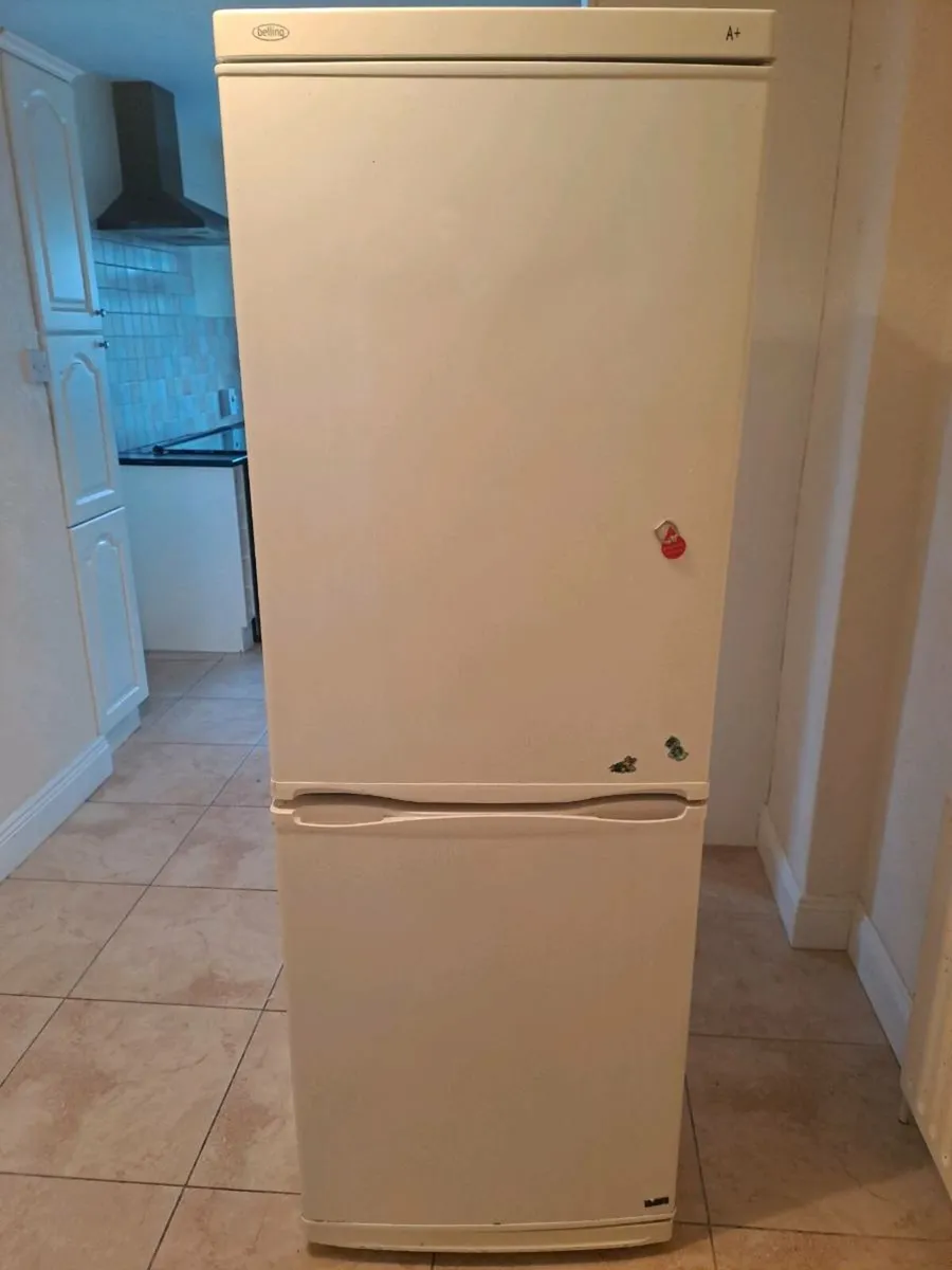 Belling Fridge freezer