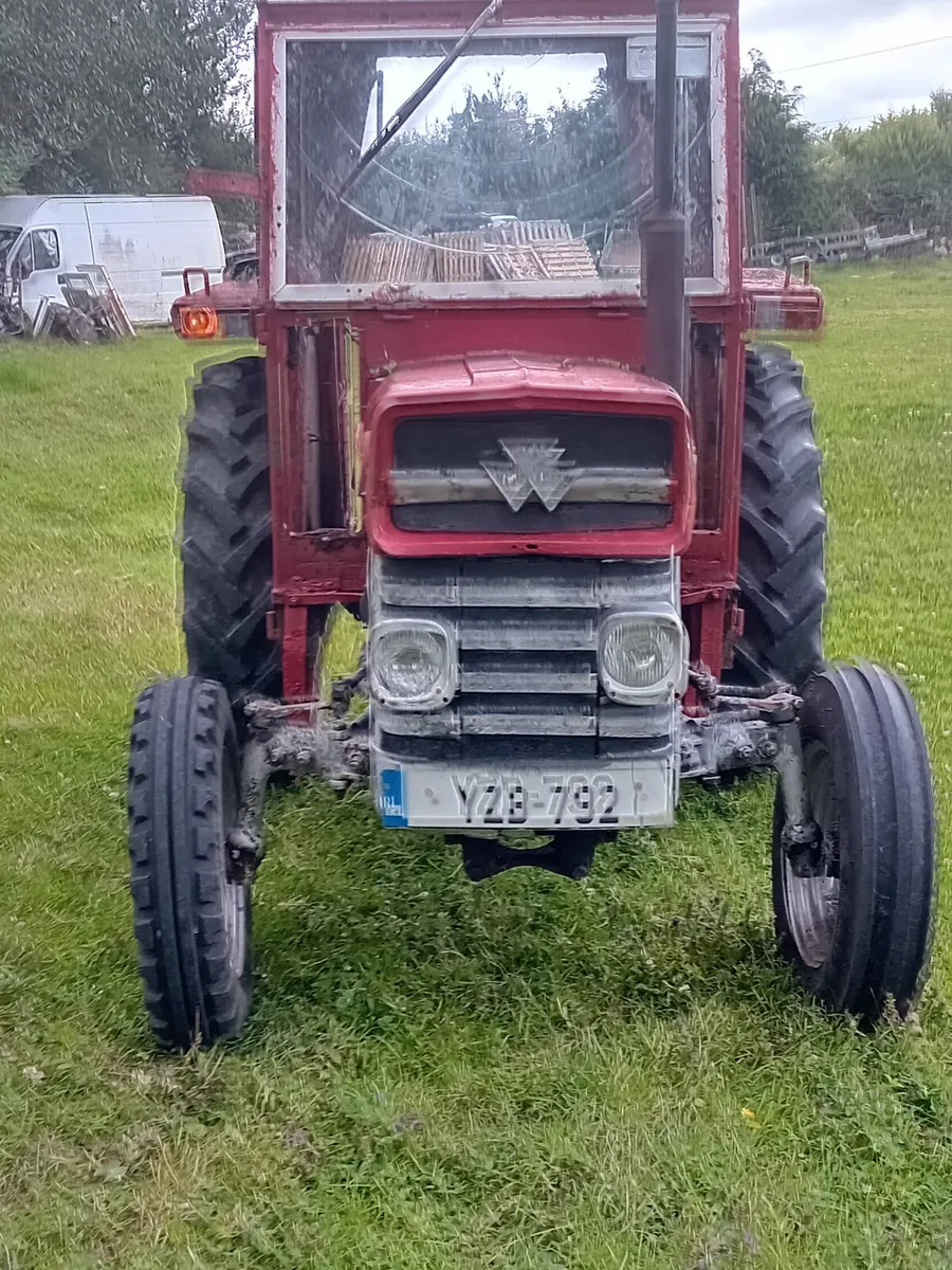 Massey Ferguson 135 - Image 2