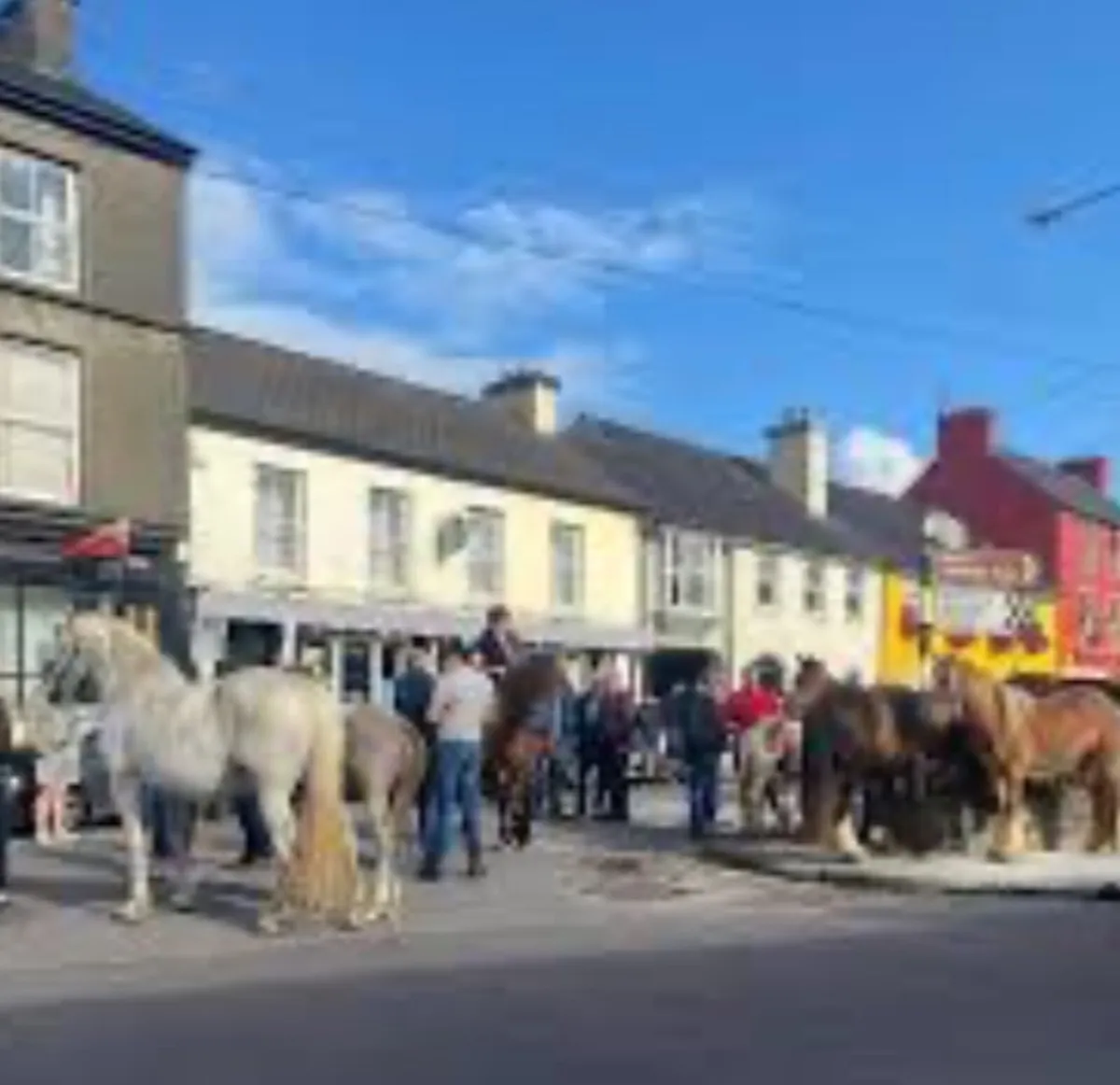 Horses - Image 2