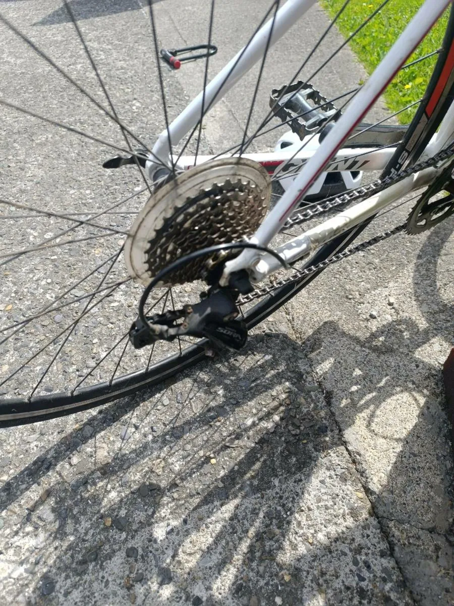 Bicycle - Image 2