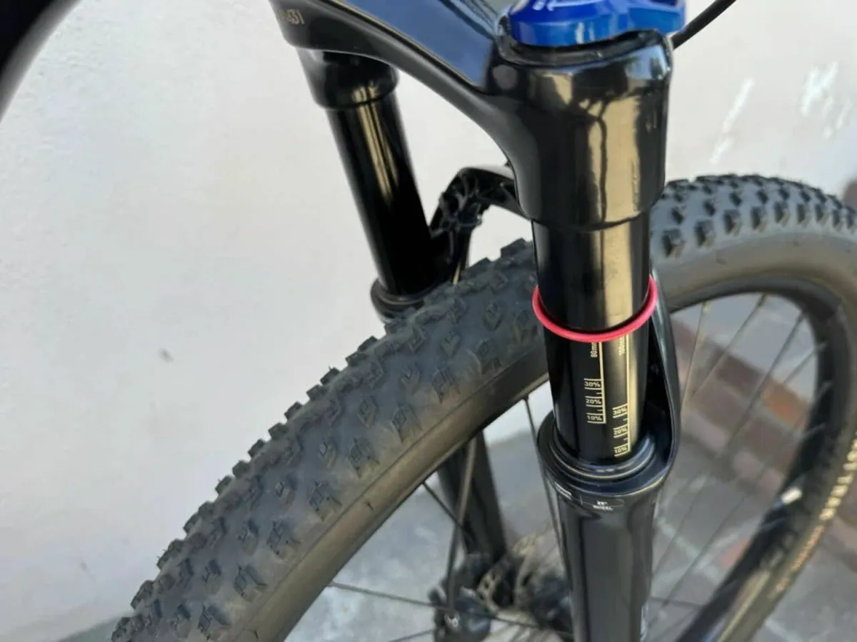 Specialized Epic Hard Tail Size M Carbon Bike - Image 3