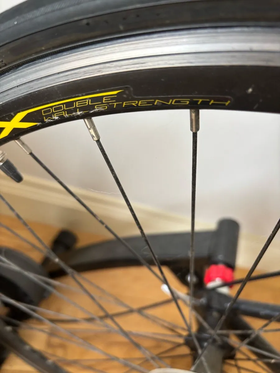 Carrera Road Bike & Sportneer indoor trainer - Image 2