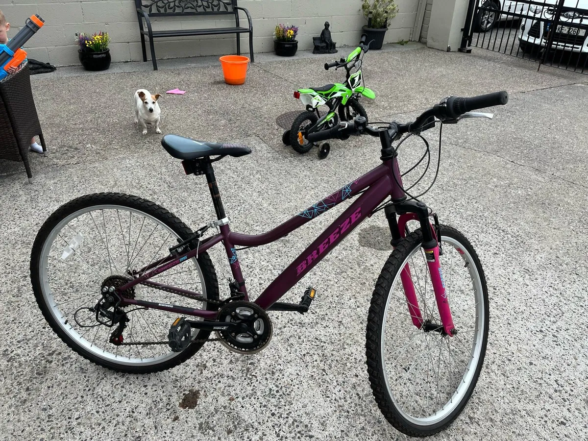 Girls bicycle - Image 2