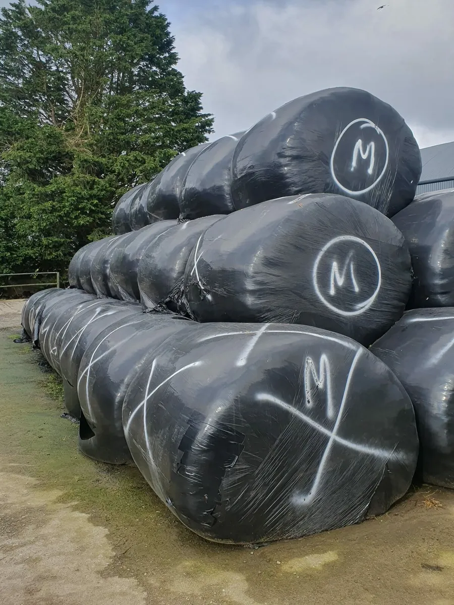 Haylage - Image 1