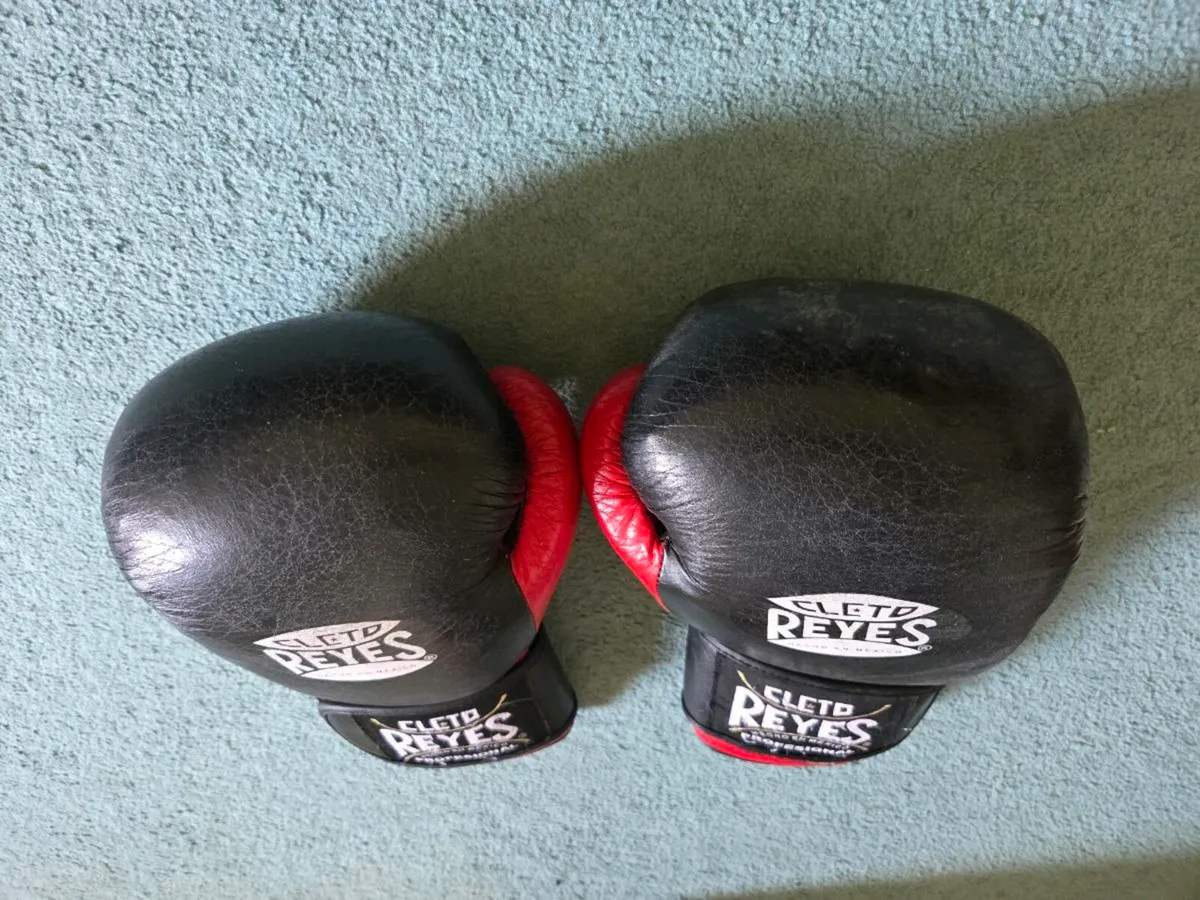 Reyes Boxing gloves 16 oz - Image 2