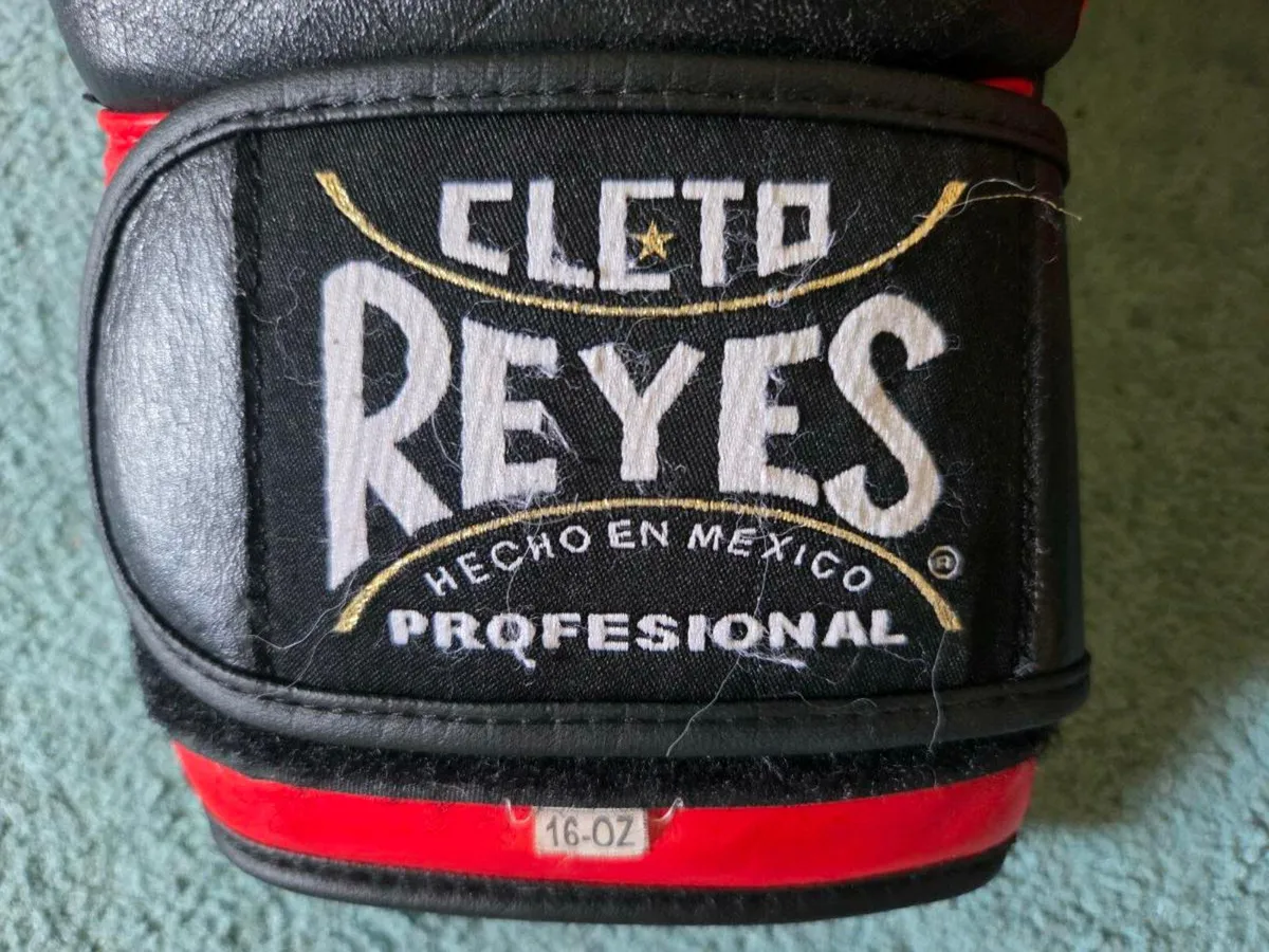 Reyes Boxing gloves 16 oz - Image 3