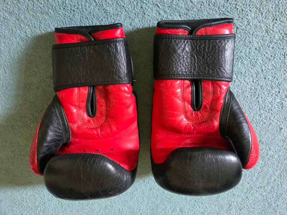 Reyes Boxing gloves 16 oz - Image 4