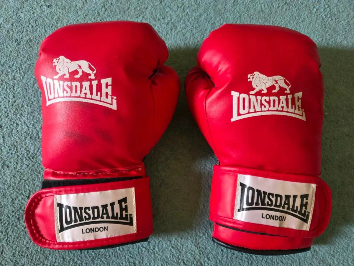 Lonsdale Boxing set - Image 1